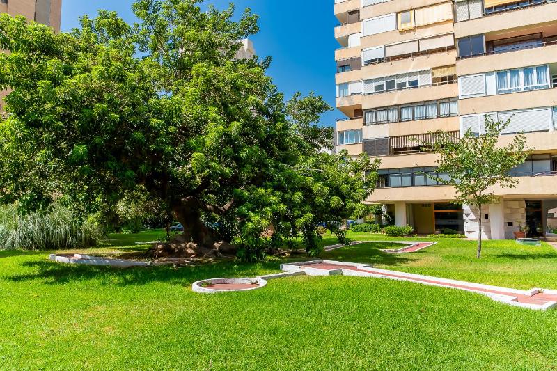 Cubo's Playamar Beach Apartment - image 10