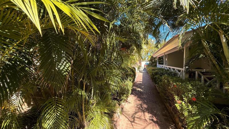 Blue Marlin Apartments nabij Mambo Beach - image 15