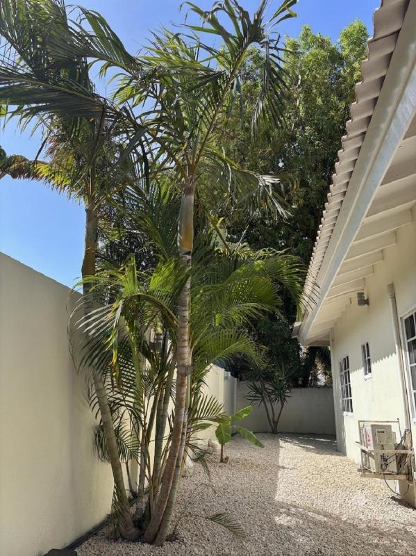 Blue Marlin Apartments nabij Mambo Beach - image 32