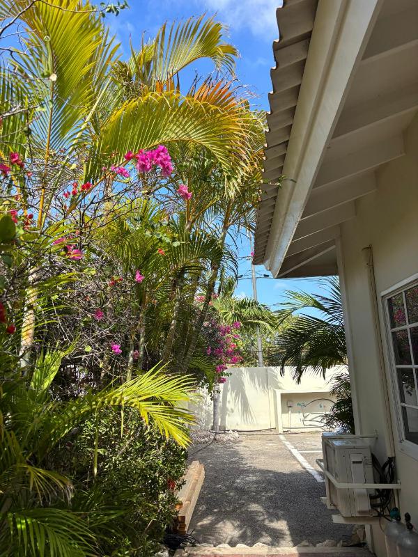 Blue Marlin Apartments nabij Mambo Beach - image 28