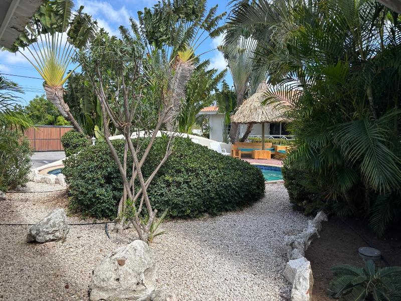 Blue Marlin Apartments nabij Mambo Beach - image 25
