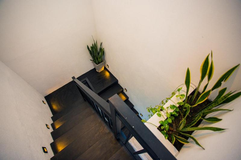 Lio Garden - image 12