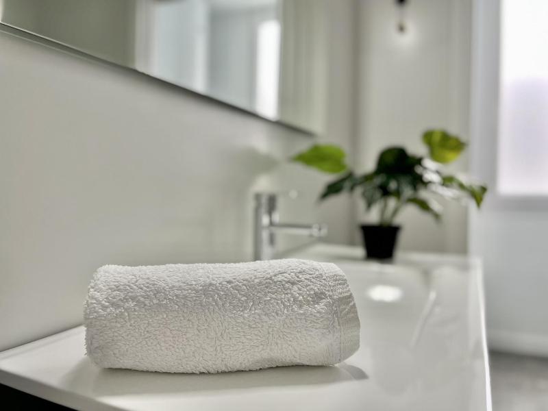 Premium Penthouse Seasonal Rental - image 7