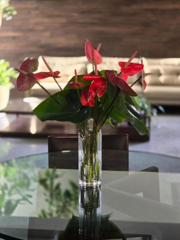 Via Contorno Hotel - image 7