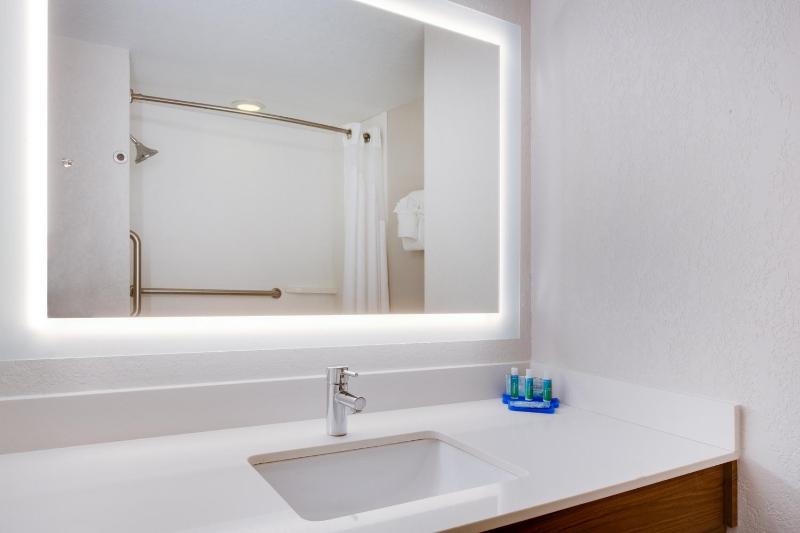 Holiday Inn Express Hotel & Suites Tampa-Fairgrounds-Casino By IHG - image 33