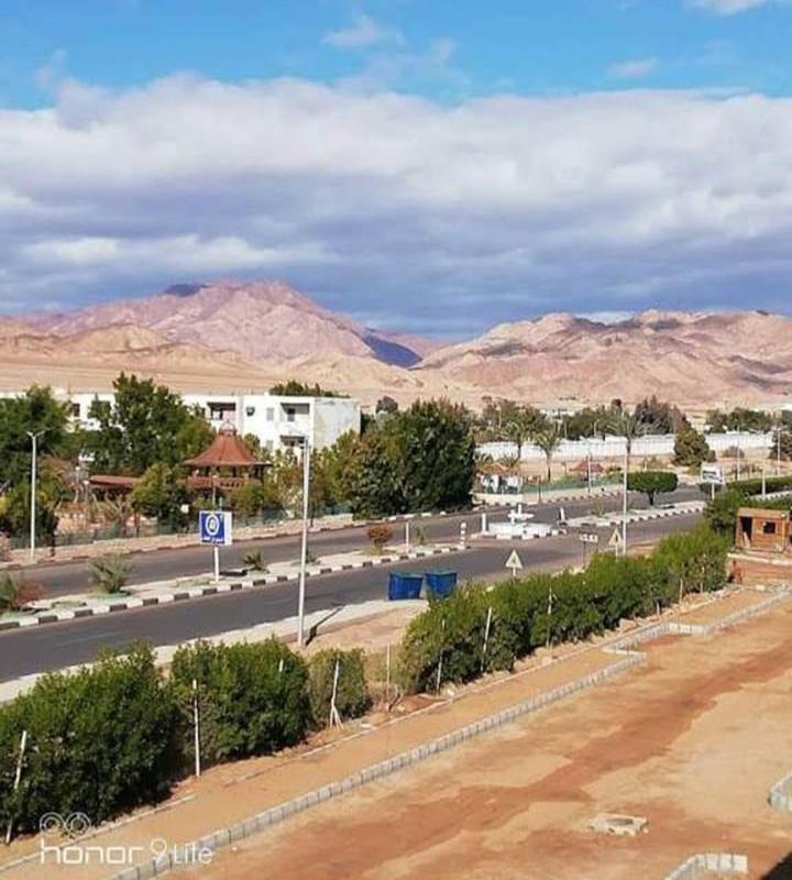 Tarbouche House Dahab - image 15