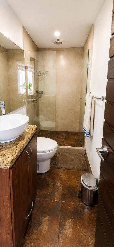 Laureles Penthouse rooftop Suite - image 9