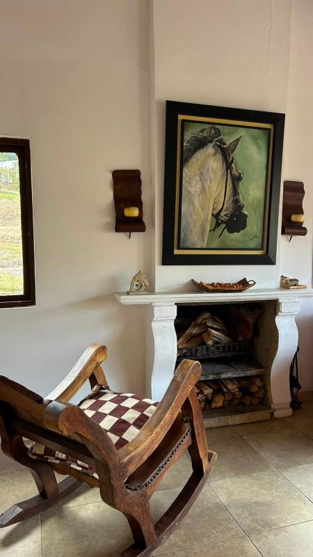 Casa Olivo - image 12