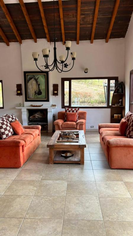 Casa Olivo - image 36