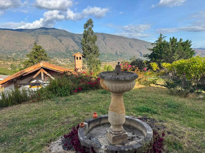 Casa Olivo - image 31