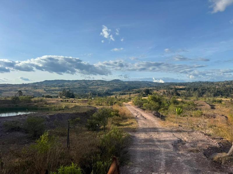 Casa Olivo - image 37