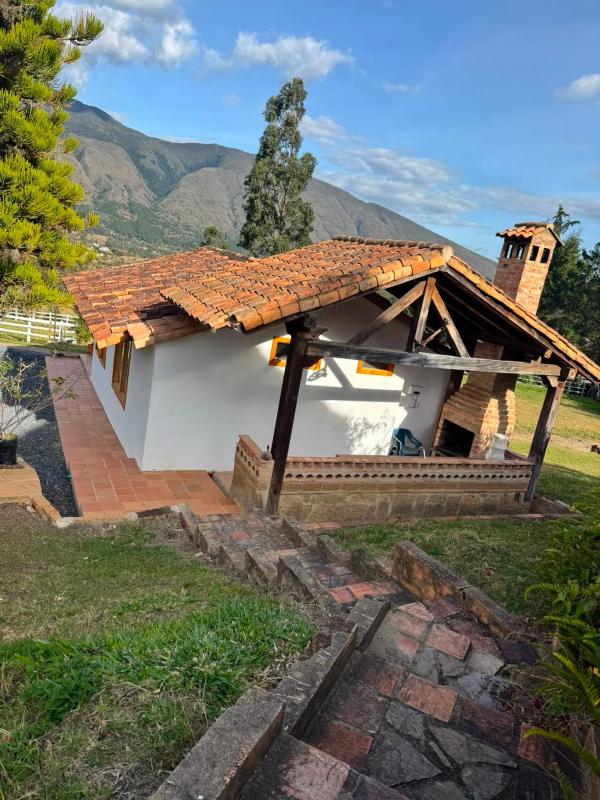Casa Olivo - image 18
