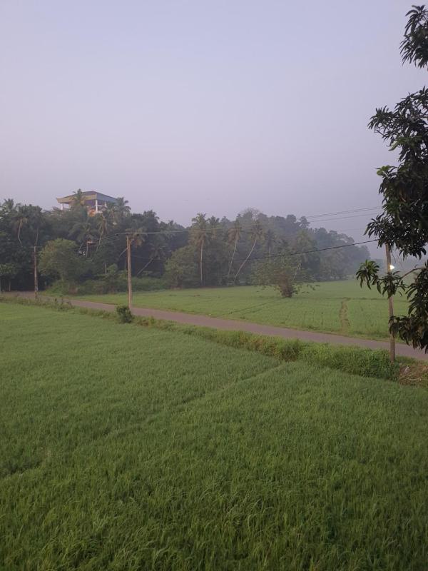 Paddy field guest house weherahena - image 15