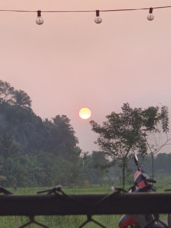 Paddy field guest house weherahena - image 16