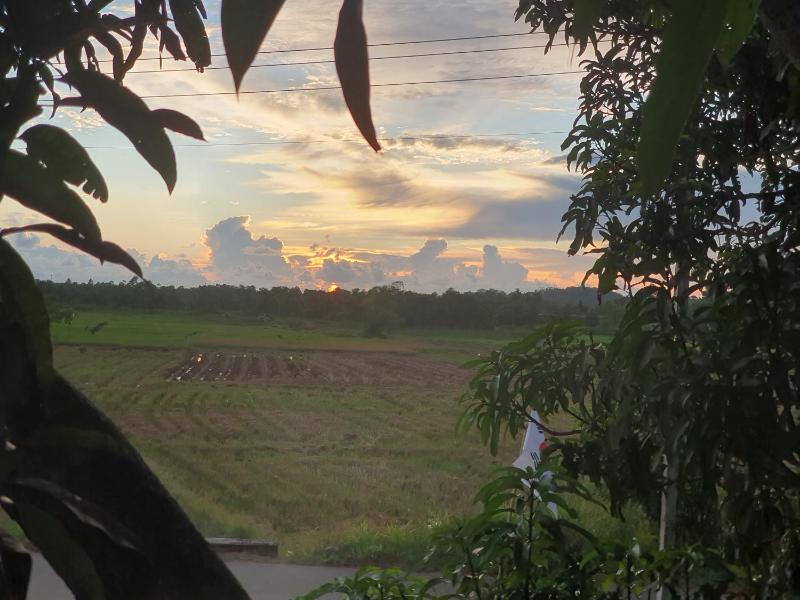 Paddy field guest house weherahena - image 8