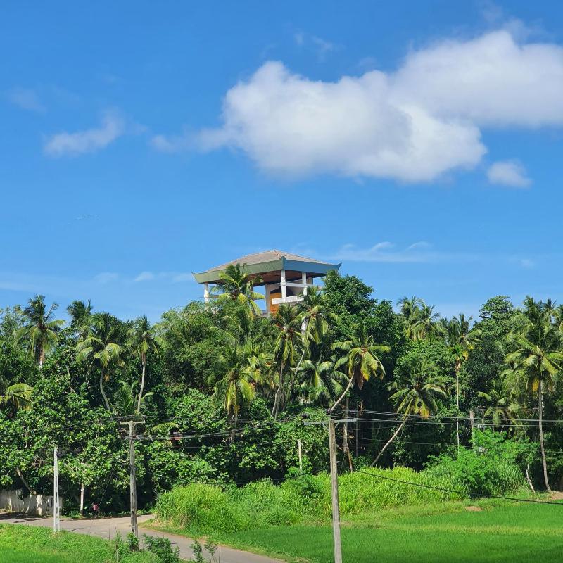 Paddy field guest house weherahena - image 11