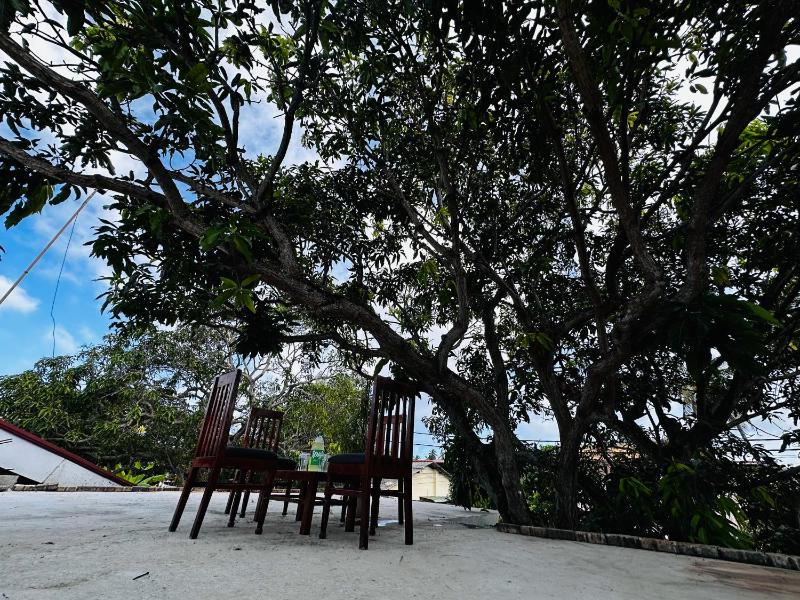 Katunayaka Mango tree Villa - Airport transit - image 7