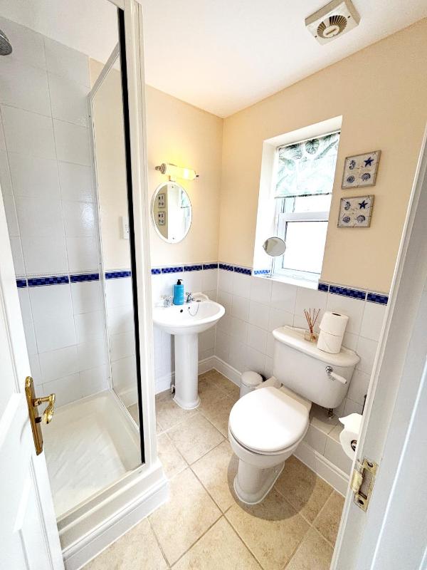2 The Riviera Torquay - image 10