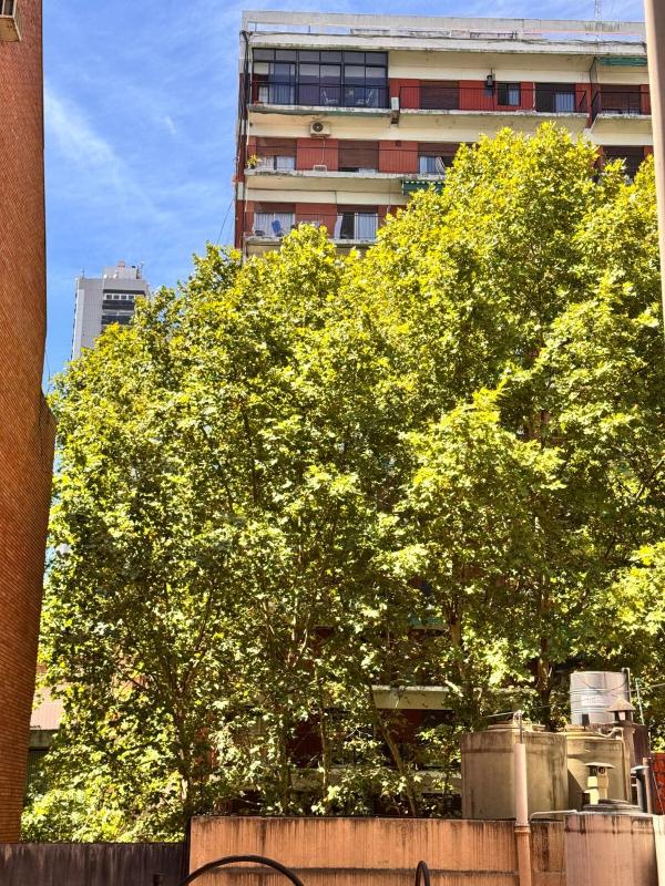 2 ambientes en Belgrano cerca de todo - image 3