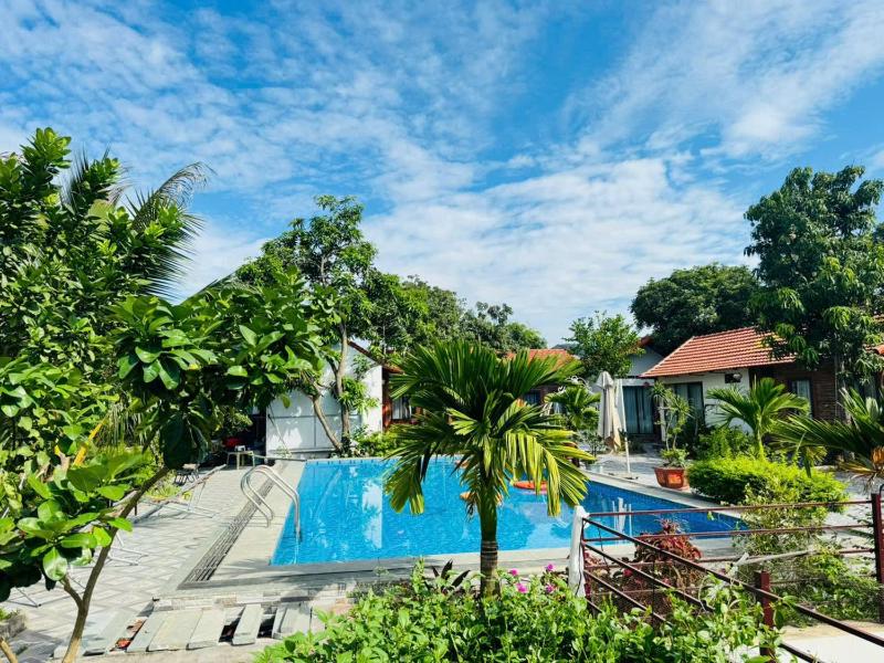 Tam Coc Rice Fields Refuge Bungalow & Homestay - image 3