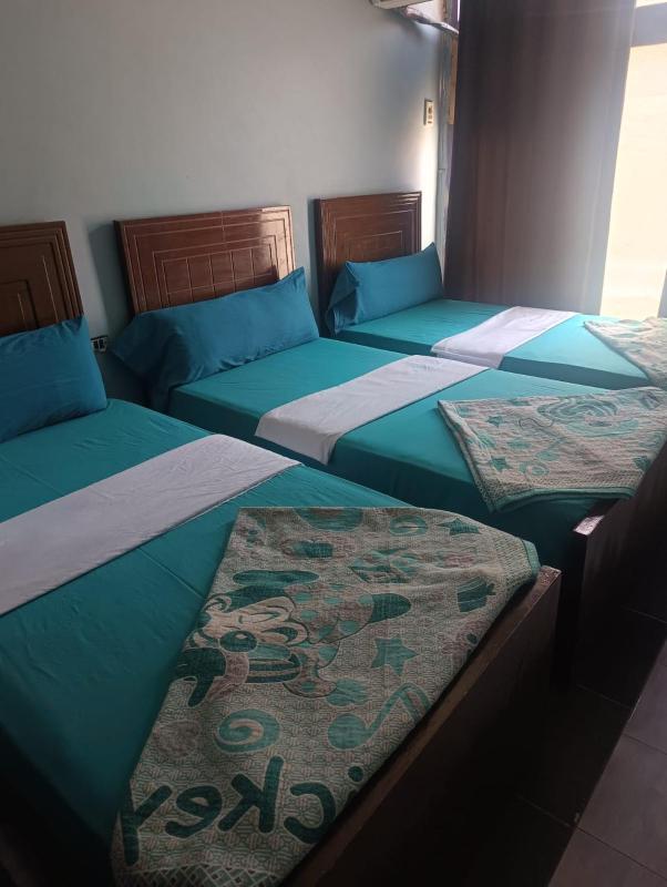 Aswan golden Land hotel - image 4