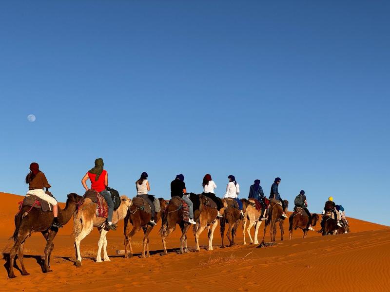 luxury berber camp - image 45