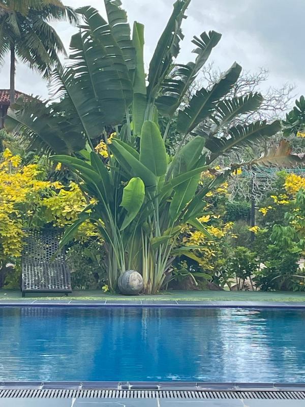 Tropical Garden Resort - image 15