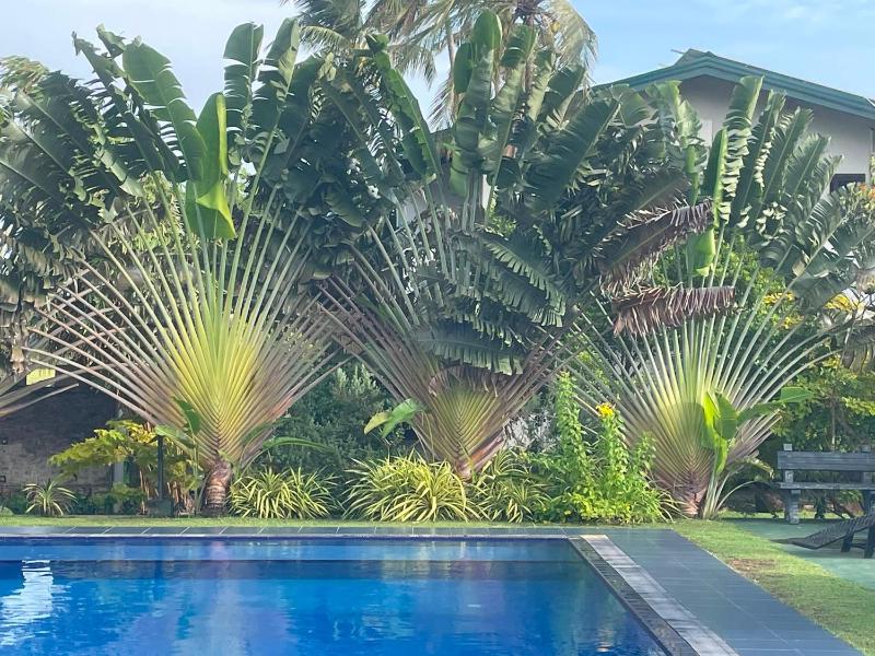 Tropical Garden Resort - image 13