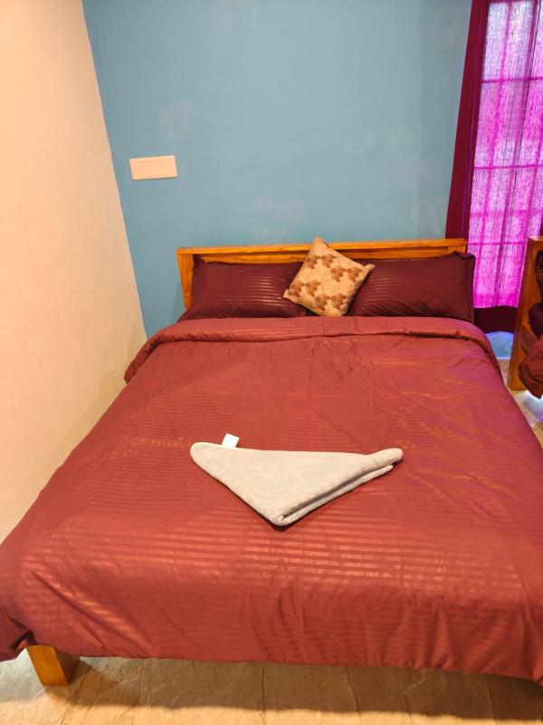 DREAM ESTATE STAy - image 15