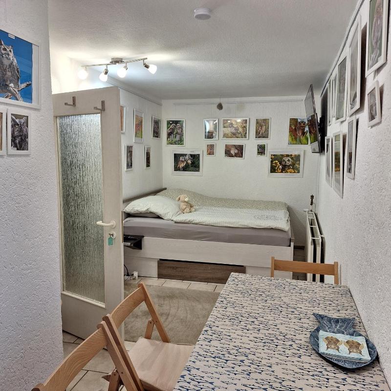 Ferienwohnung Käuzchen - image 28