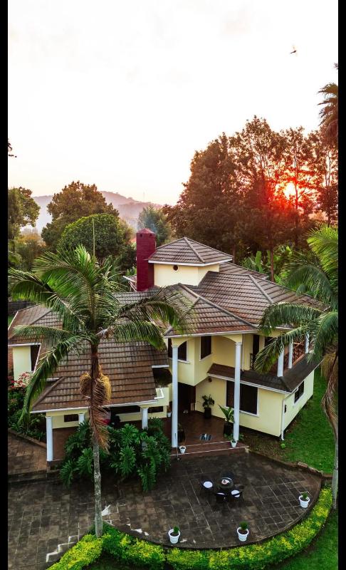Nest On The Hill - image 6