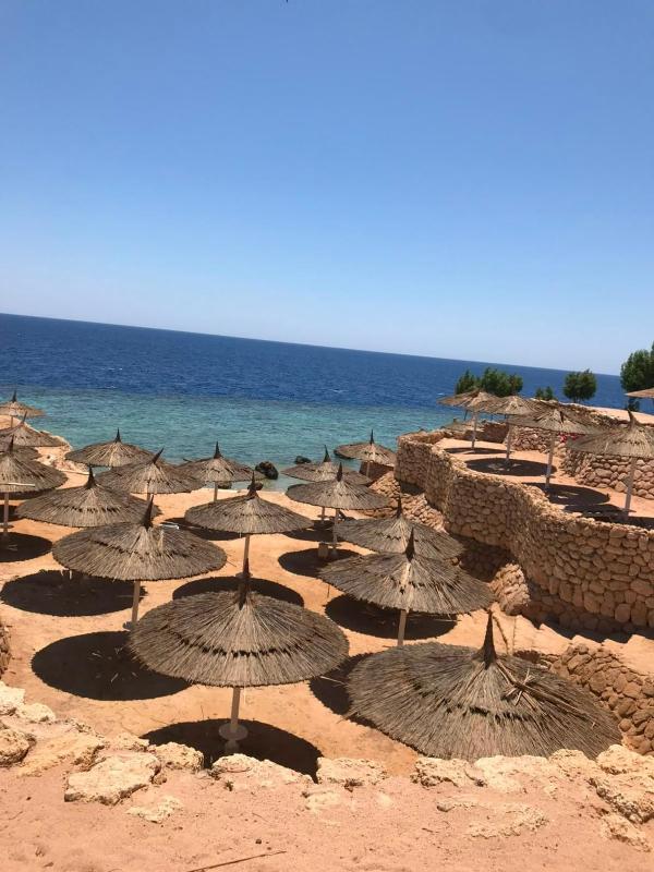 Beachfront Mansion with a private pool in Hadaba - image 11