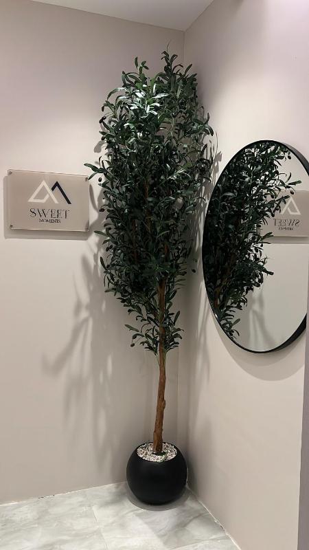Soft studio with a quiet design - image 6