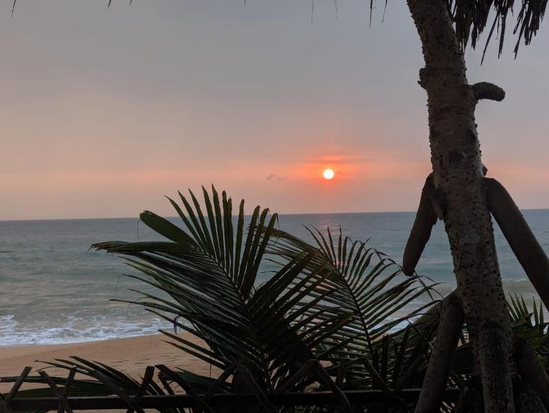 Ocean Haven - image 11