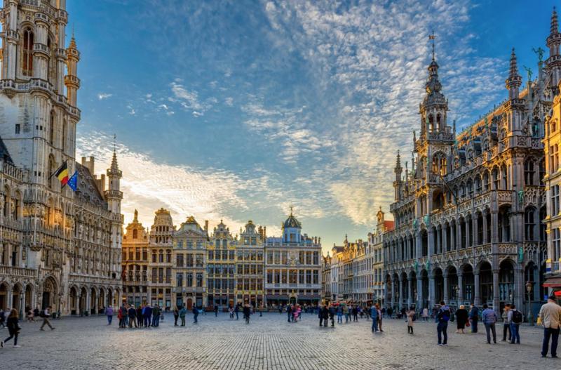 BrusselsNest - image 5