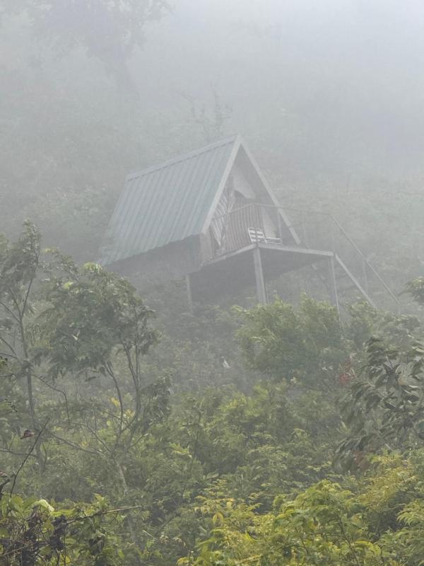 The Highland Nest - image 8