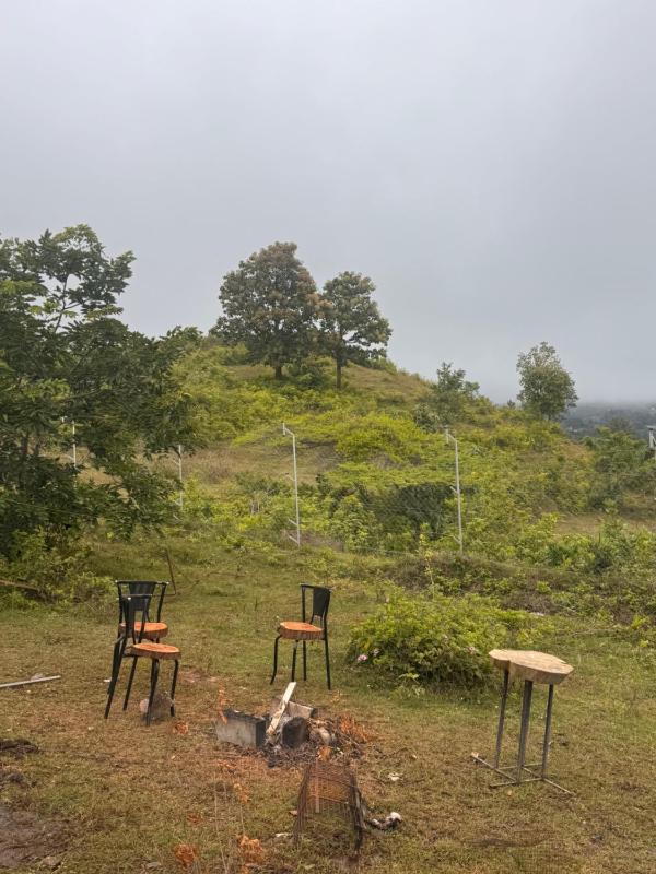 The Highland Nest - image 10