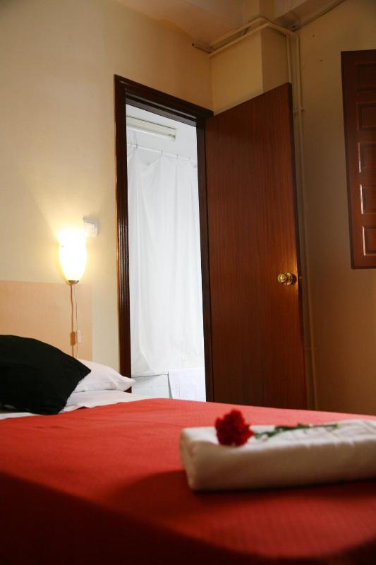 Pensión Duquesa Bed & Breakfast - image 1