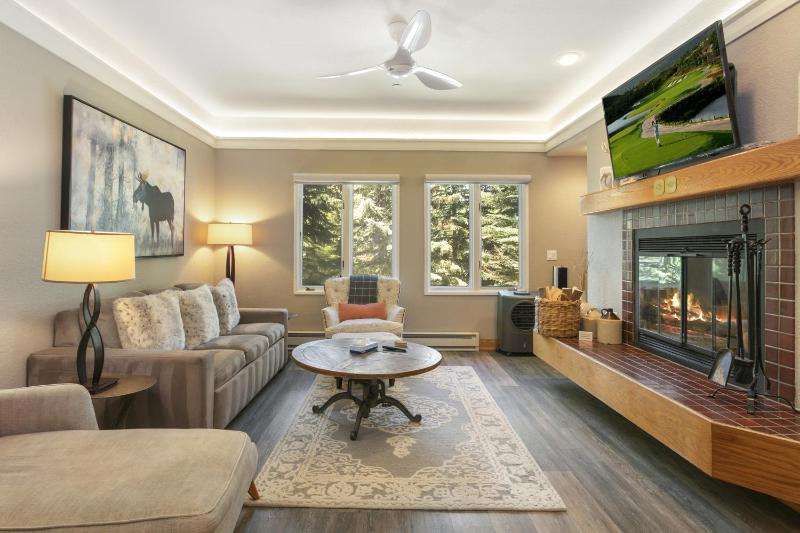Charter at Beaver Creek E160 condo - image 1