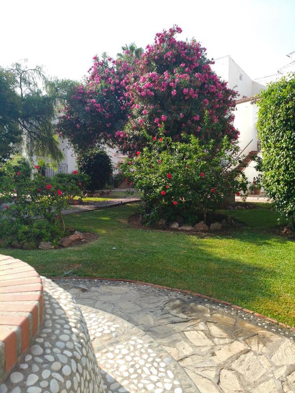 Balcón Pueblo Andaluz - image 20
