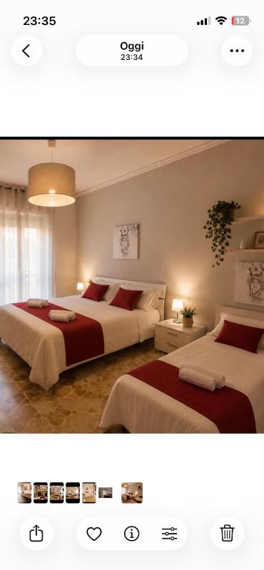 Alexander Rooms and appartament - image 6
