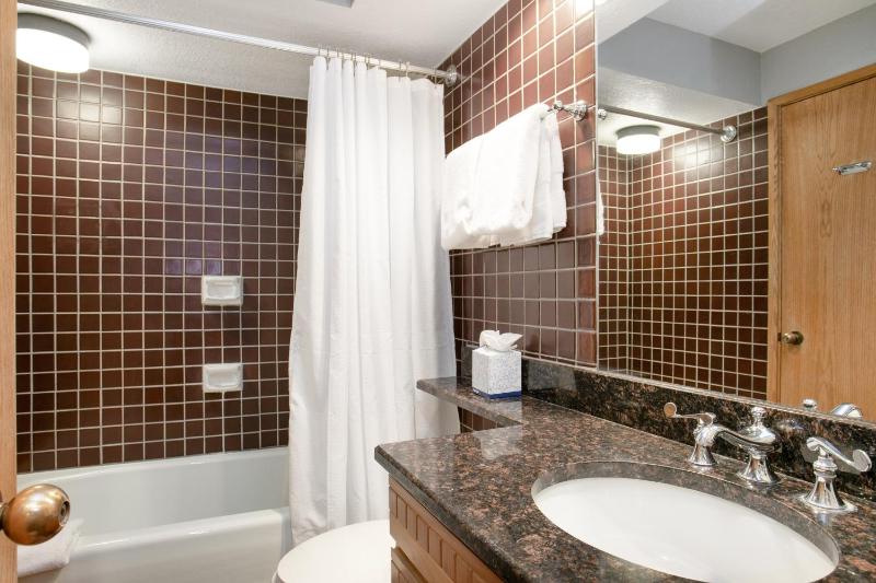 Charter at Beaver Creek E160 condo - image 14