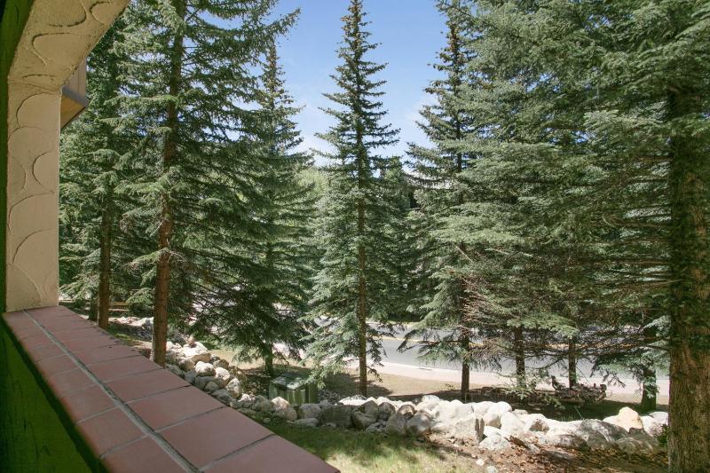Charter at Beaver Creek E160 condo - image 9
