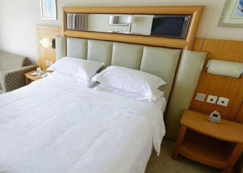 Wuhan Premier Mayflowers Hotel - image 43