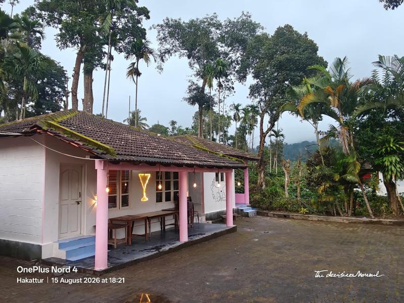 Tiger's Corner Homestay & Cottages Managed by Le Star - image 8