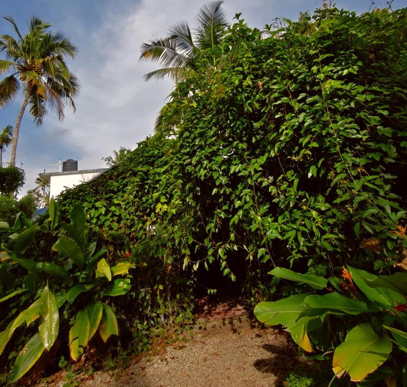 The Hide Away Varkala - image 8