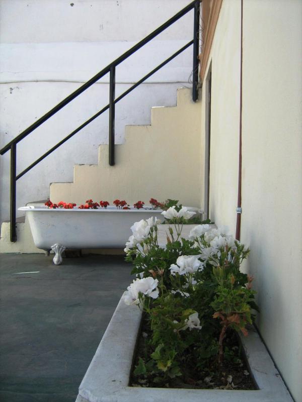 The Lazy Rooms - image 14