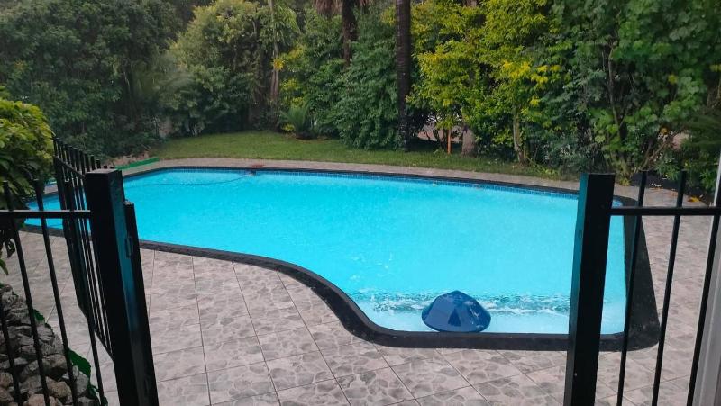 Tranquil 1-Bedroom House Rental in Randburg South Africa - image 6