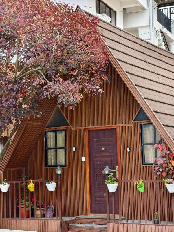 Wings Cottage - image 20