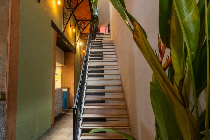 Straw Hat Hostel & RoofTop Bar CDMX - image 3